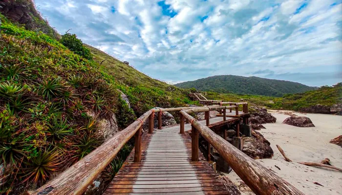 Passarela de madeira cortando a vegetação até a praia