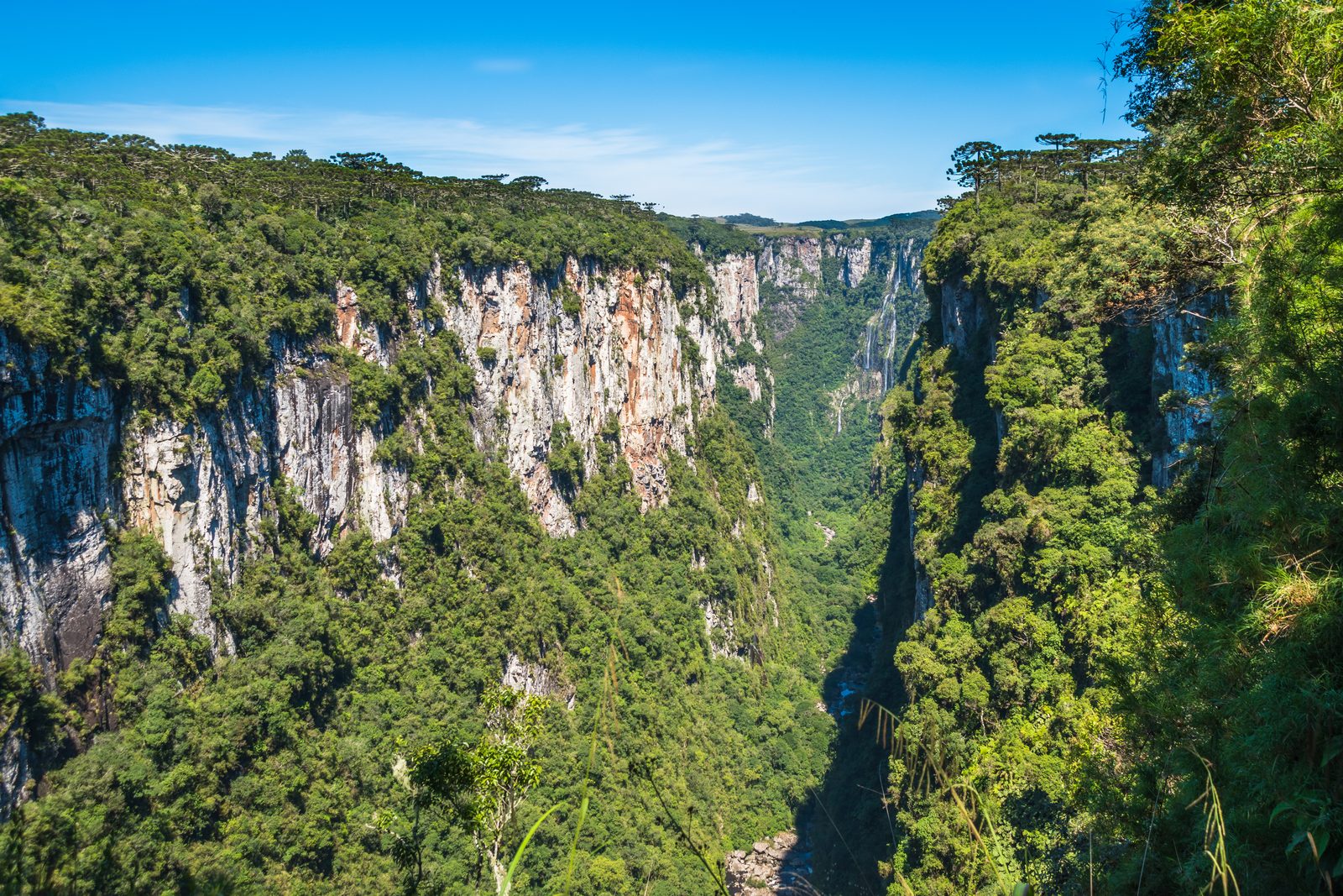 Paisagem de Cambará do Sul