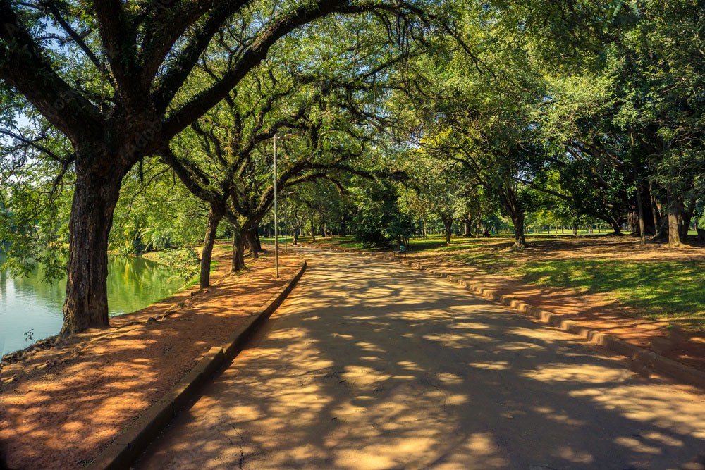 Paisagem de São Paulo
