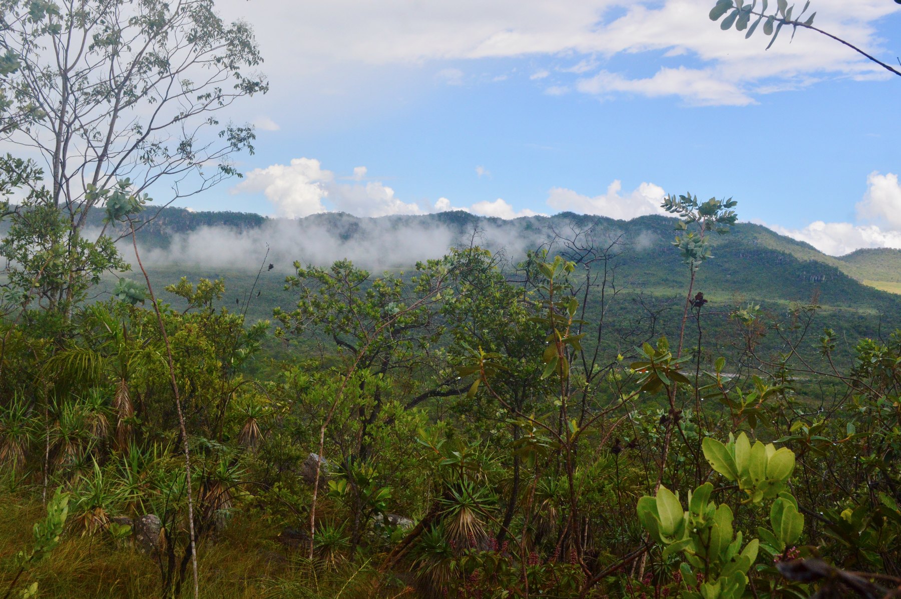 Parque Nacional da Chapada dos Veadeiros