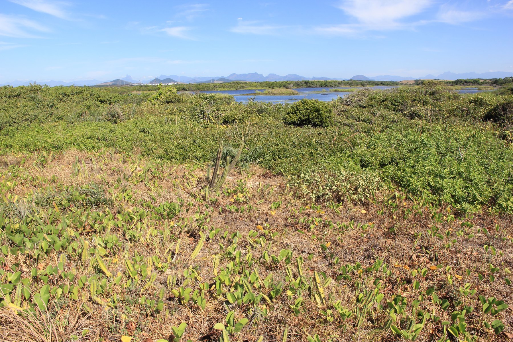 Parque Nacional da Restinga de Jurubatiba