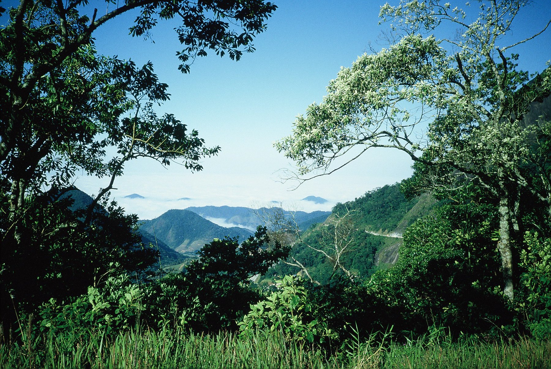 Parque Nacional da Serra da Bocaina