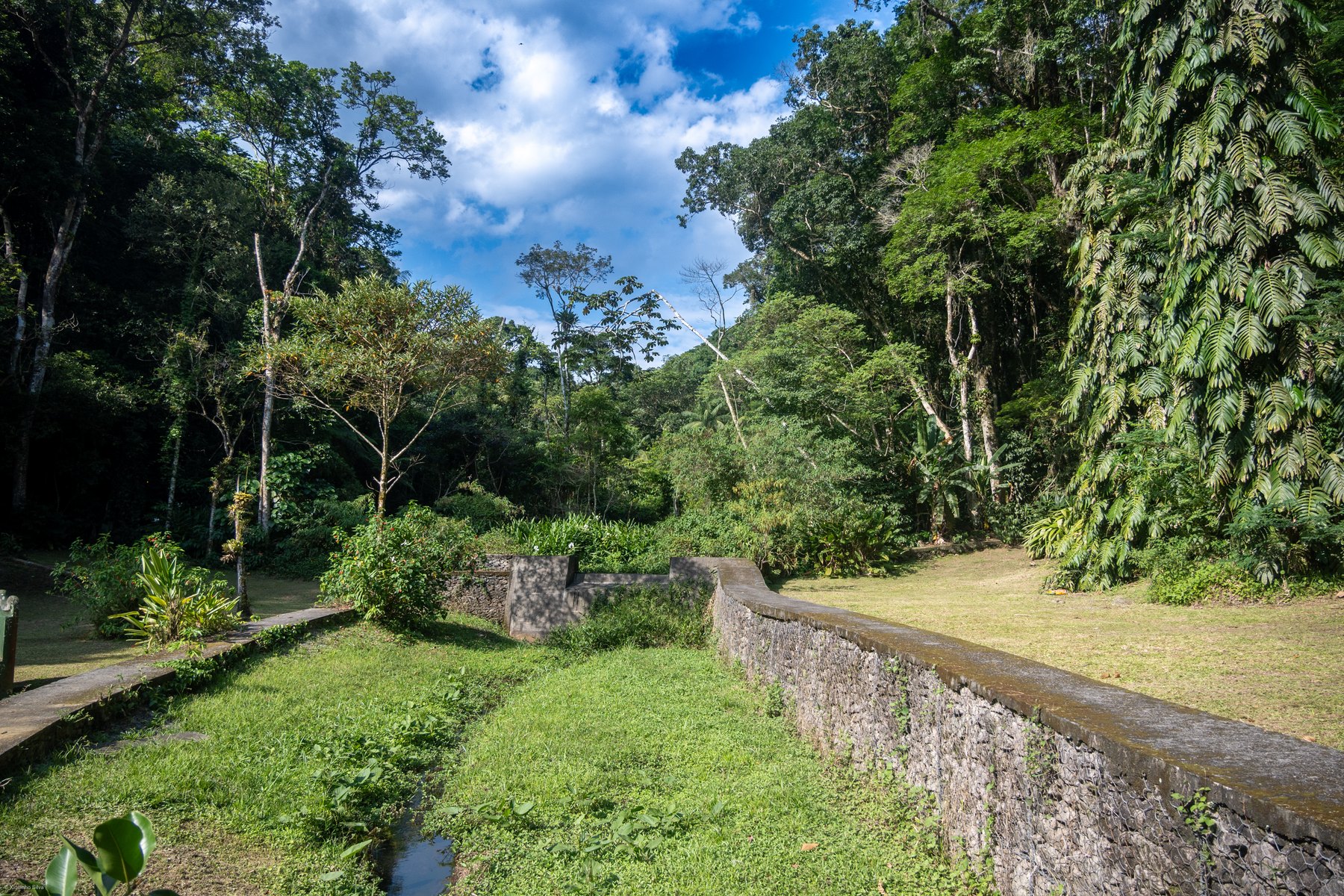 Parque Nacional da Tijuca