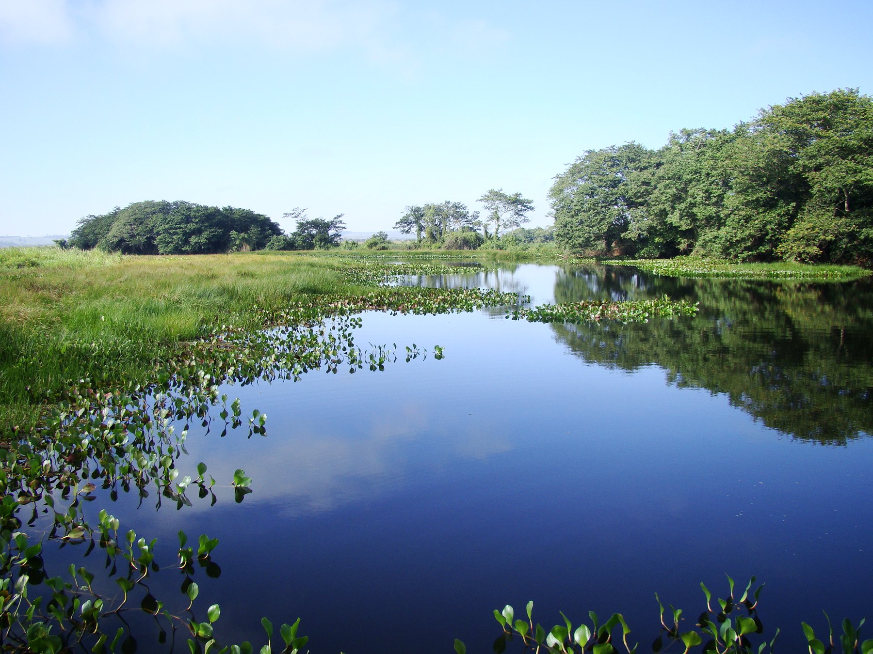 Parque Nacional de Ilha Grande