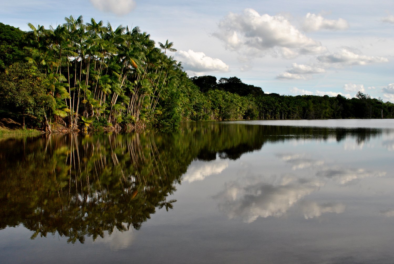 Reserva Biológica de Sooretama