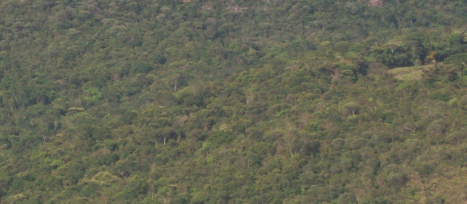 Paisagem de Catas Altas