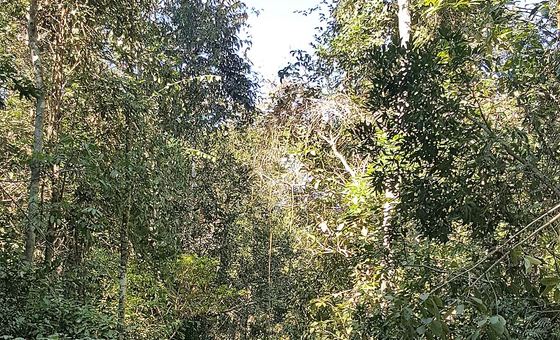 Cachoeira do Tororó, em Brasília