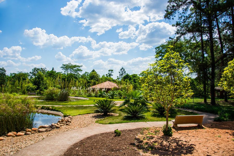 Jardim Botânico de Brasília, em Brasília