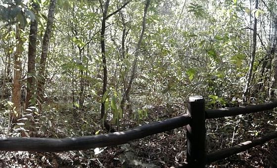 Trilha da Capivara, em Núcleo Bandeirante