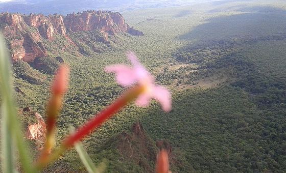 Trilha Cidade de Pedra, em Chapada dos Guimarães