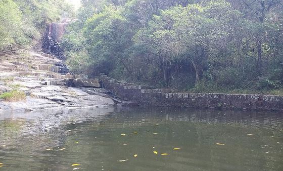 Costa da Lagoa