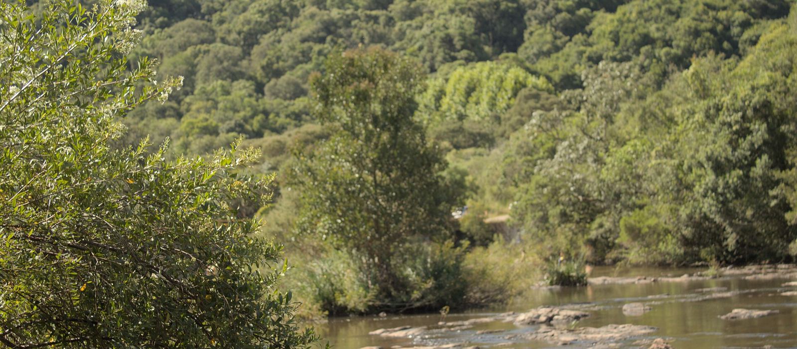 Paisagem de Caxias do Sul
