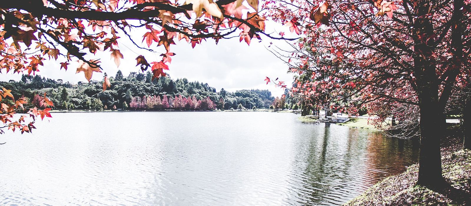 Paisagem de São Francisco de Paula